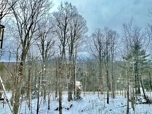 Un bosque nevado con árboles desnudos y una montaña al fondo.