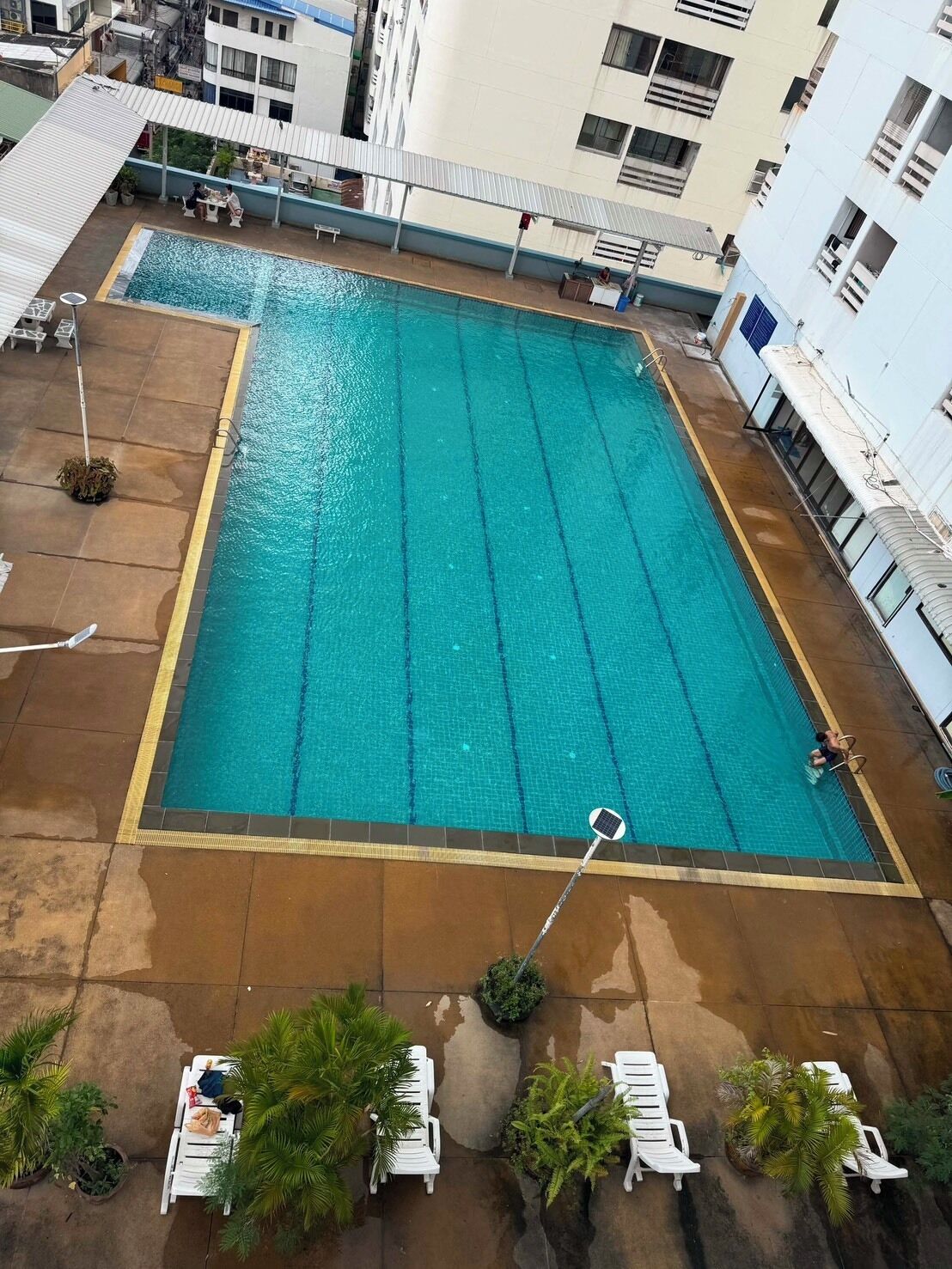 A rectangular swimming pool with clear blue water, surrounded by a concrete deck with white lounge chairs and palm trees.