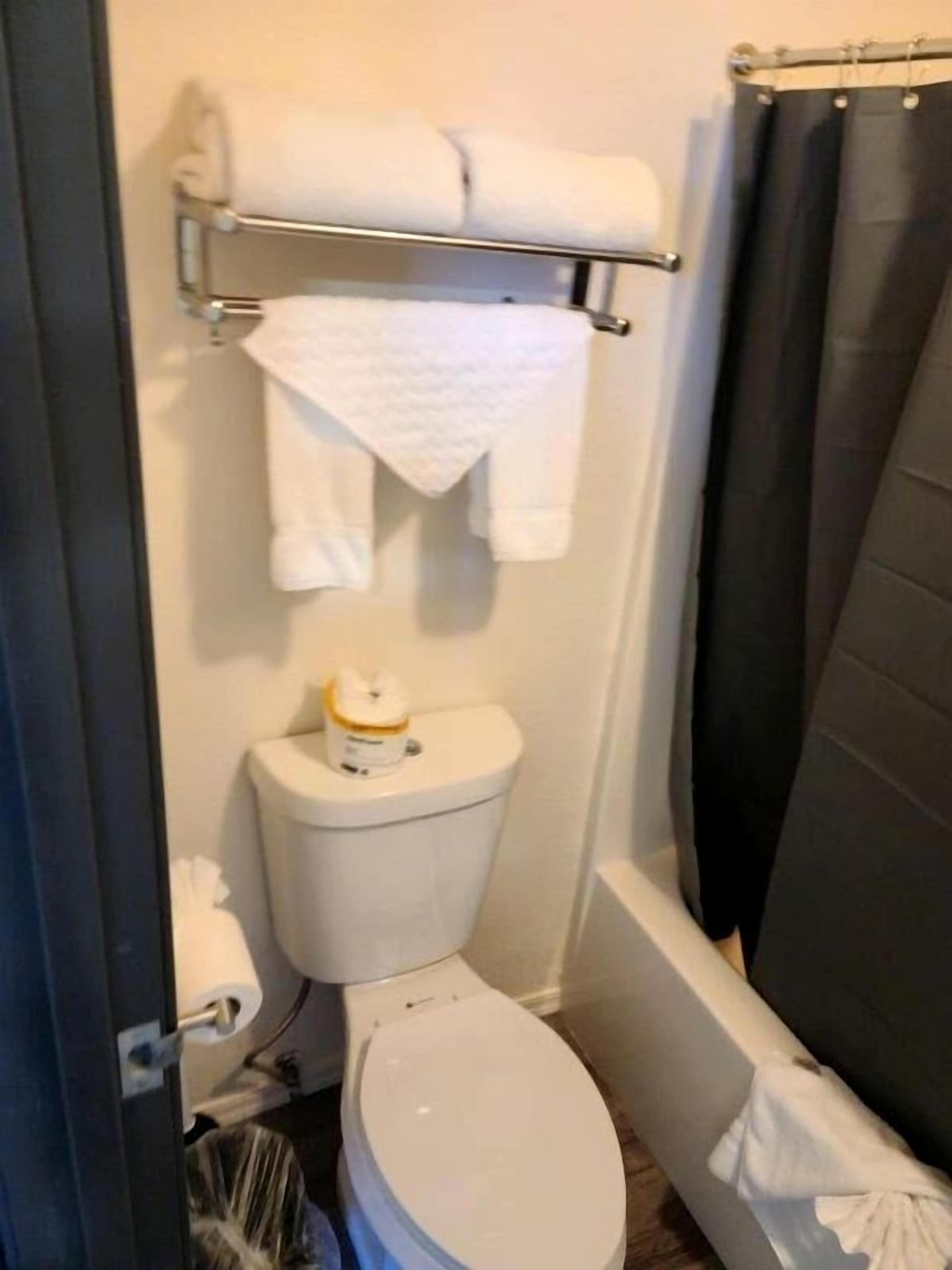 A small bathroom with a toilet, a shelf with towels, and a shower curtain.