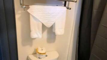 A small bathroom with a toilet, a shelf with towels, and a shower curtain.