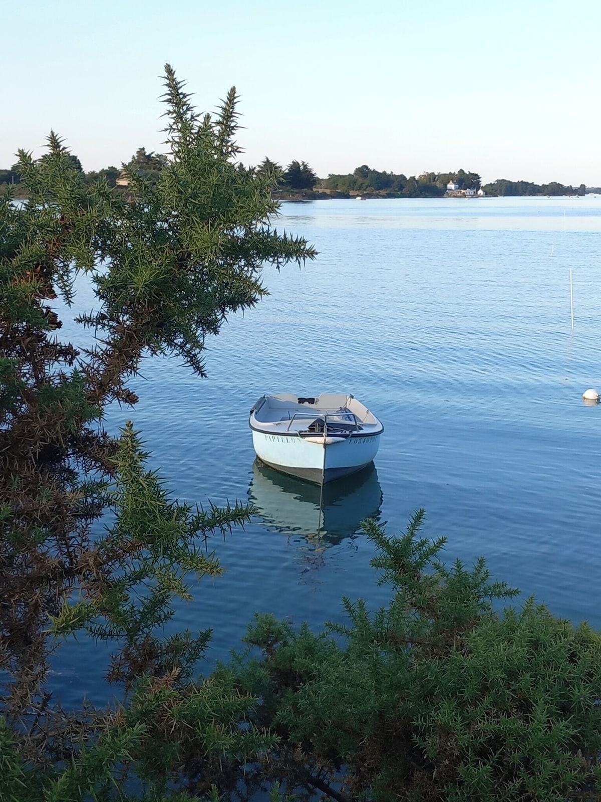 Image de profil de l’hôte