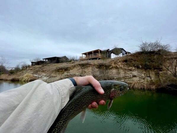 A hand holding a fish near a body of water with a house in the background.