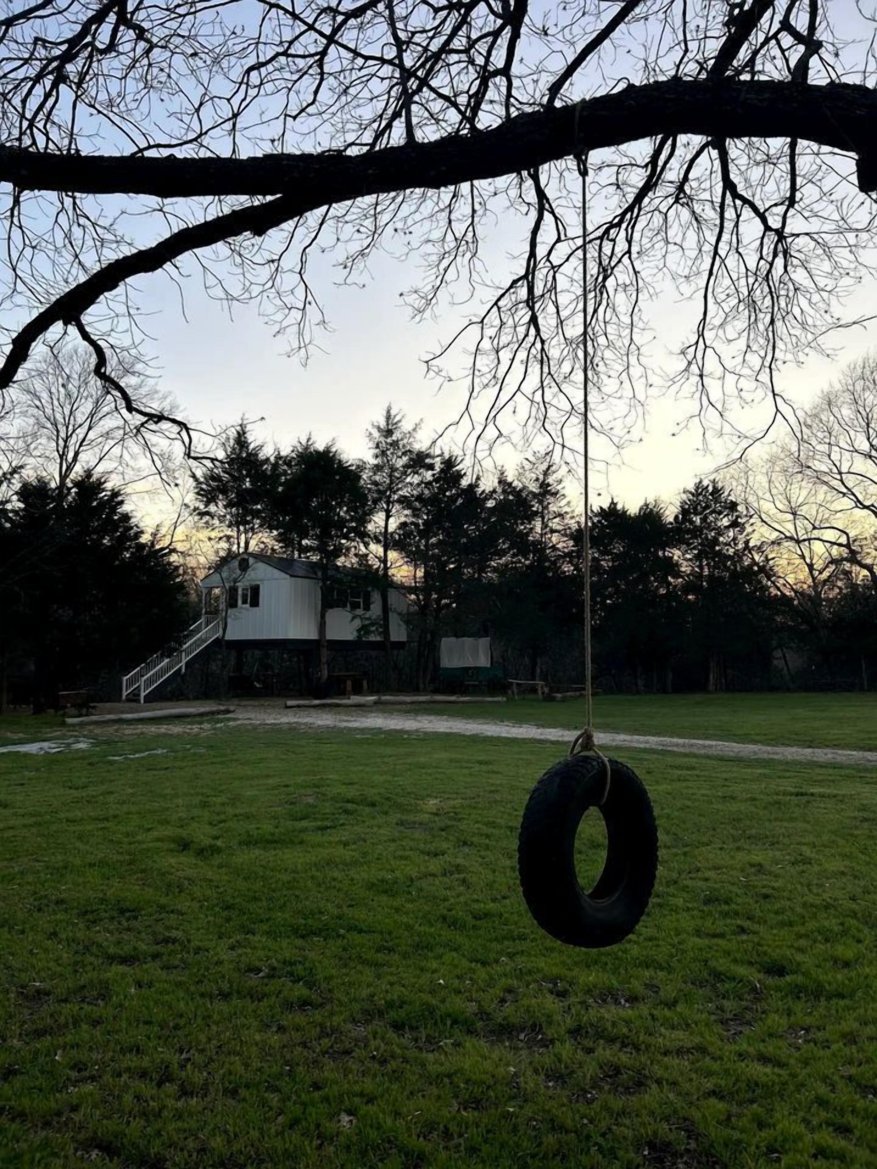A grassy area with a tire swing, a staircase leading to a building, and trees in the background.