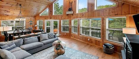 TV, fireplace, video games, DVD player
