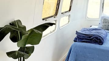 A compact, well-lit room with a bed, a small table, and a plant.