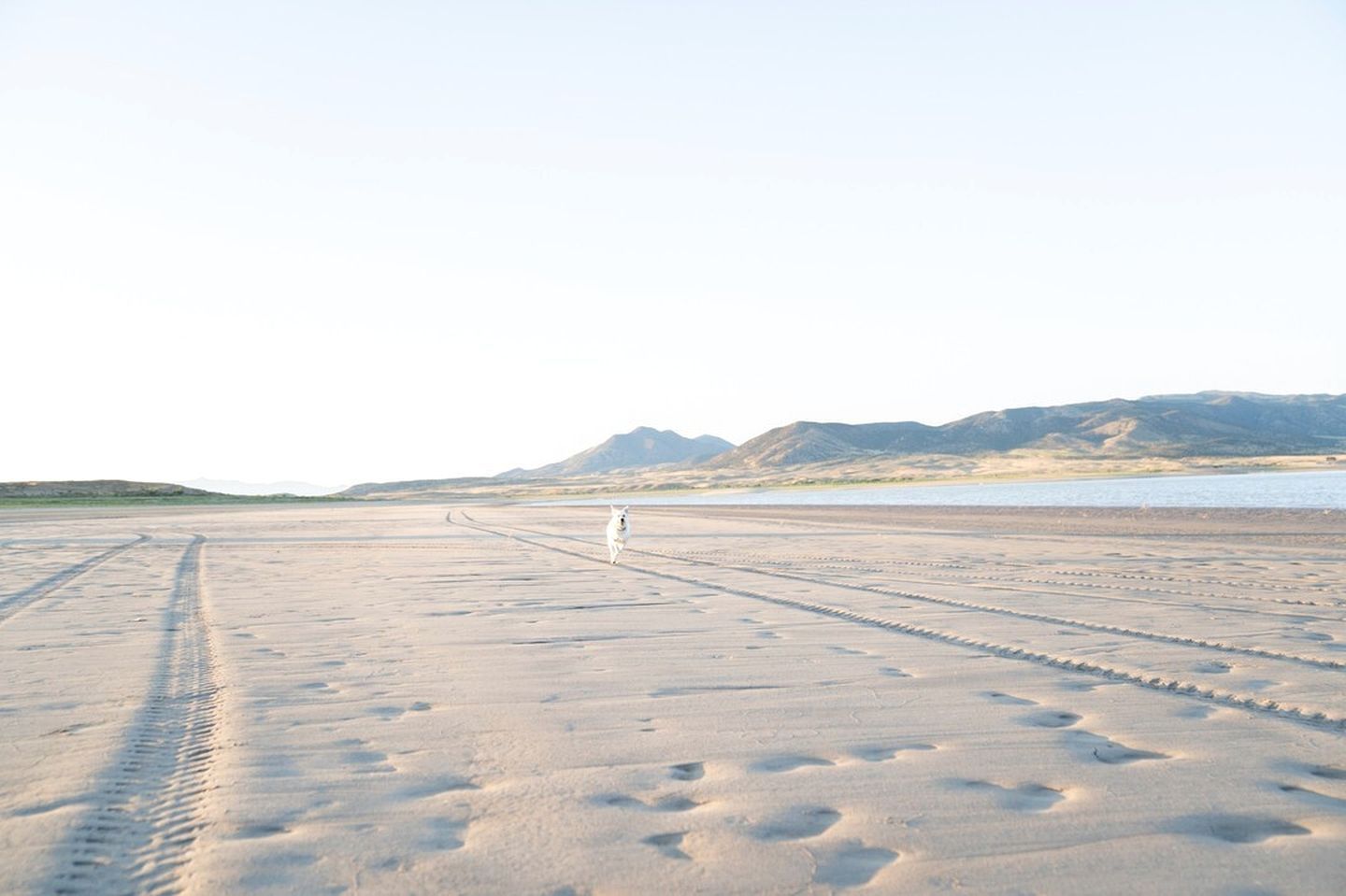 A wide, open sandy area with tire tracks and a distant mountain range.