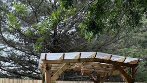 A wooden pergola with a table and chairs underneath, a grill, and a red target stand. - Unique Jungle-Style Glamping RV with 8-Foot Suspended Tree Tent near Creek Trails in Forestburg, Texas (Forestburg)