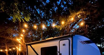 Unique Jungle-Style Glamping RV with 8-Foot Suspended Tree Tent near Creek Trails in Forestburg, Texas
