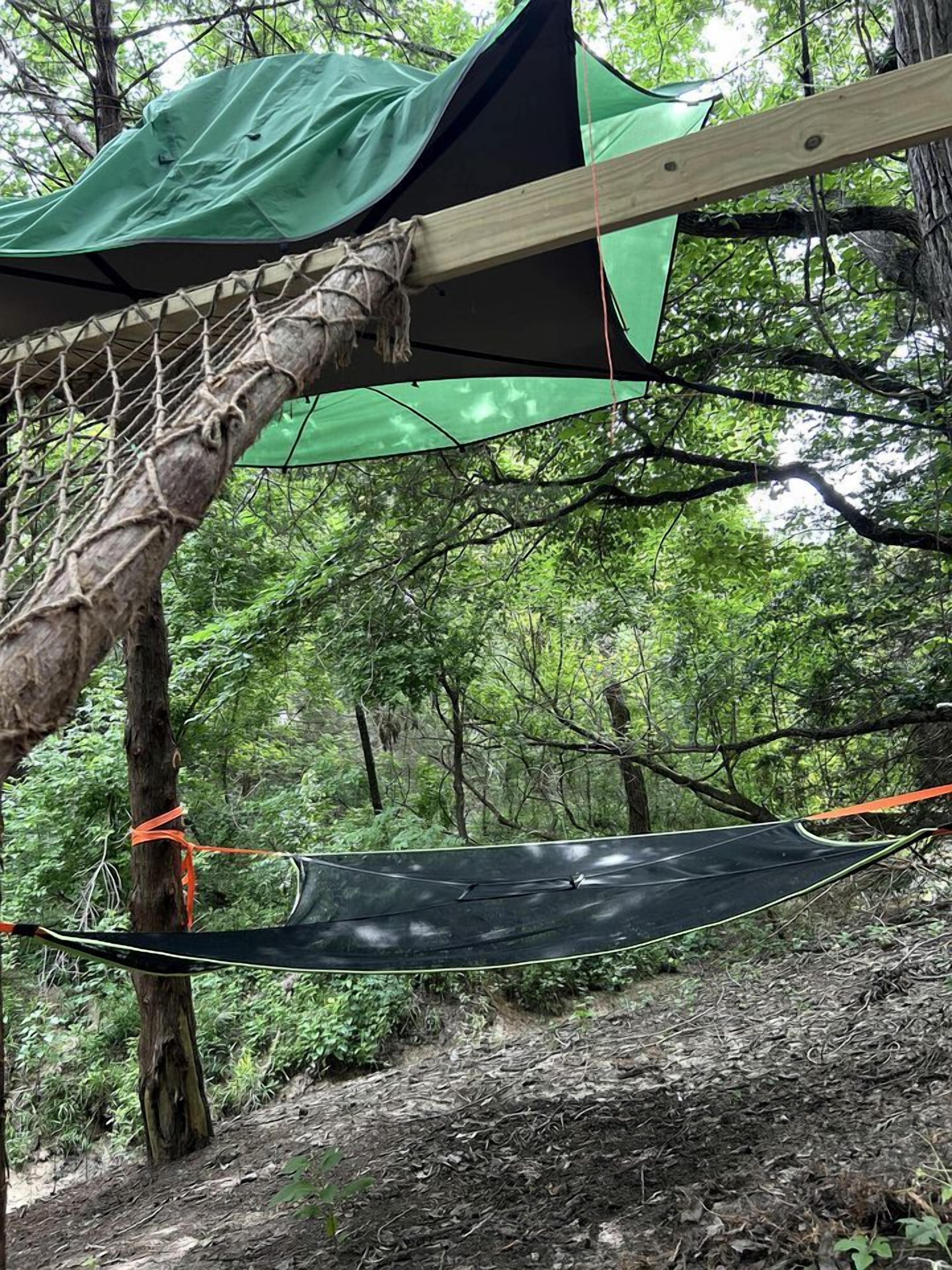 A hammock suspended between trees in a forested area.