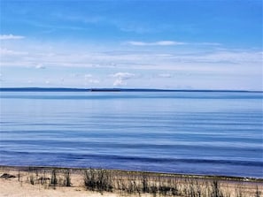 Ruhiges Gewässer mit einem entfernten Schiff, klarem Himmel und einem sandigen Strand mit vereinzelter Vegetation.