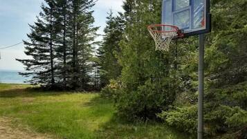 A basketball hoop in a natural setting with trees and a dirt path.