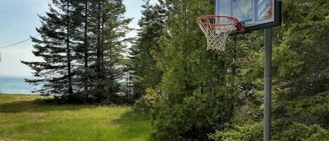 A basketball hoop in a natural setting with trees and a dirt path.