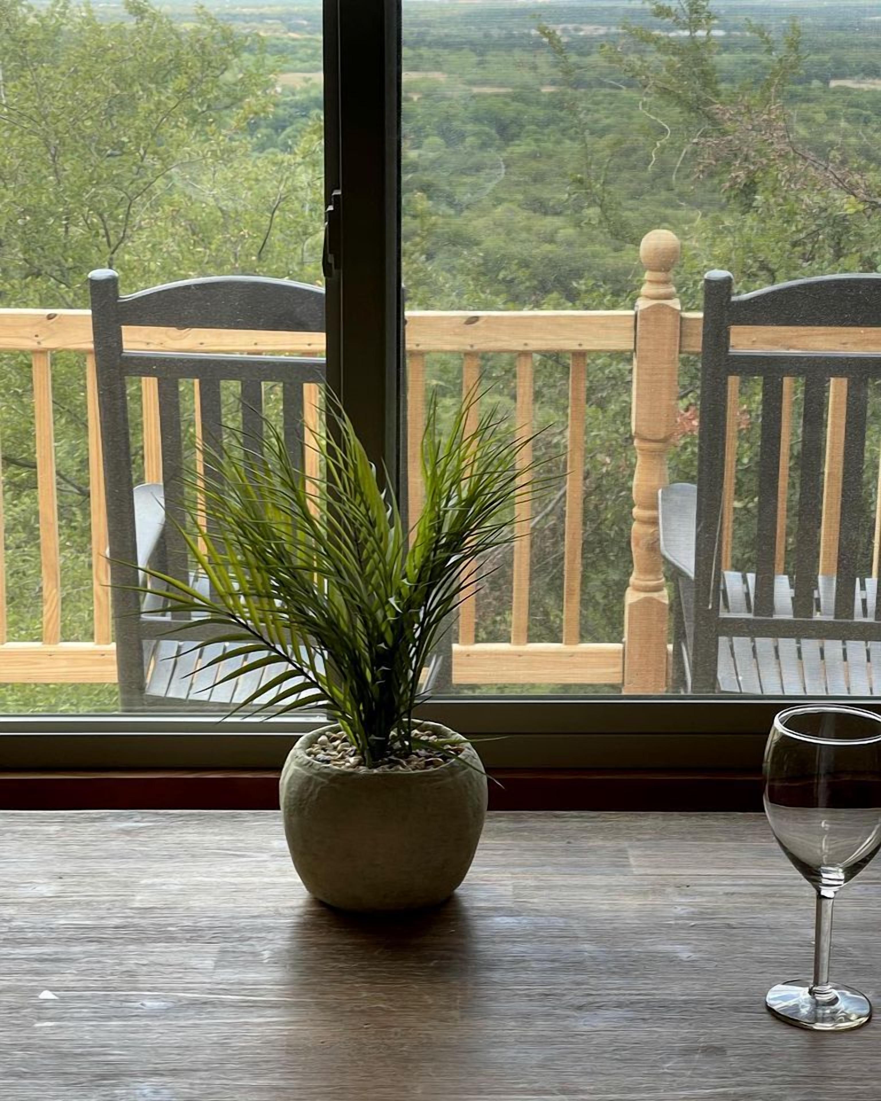 En potteplante på et træbord ved et vindue med udsigt til en balkon og udendørs natur.