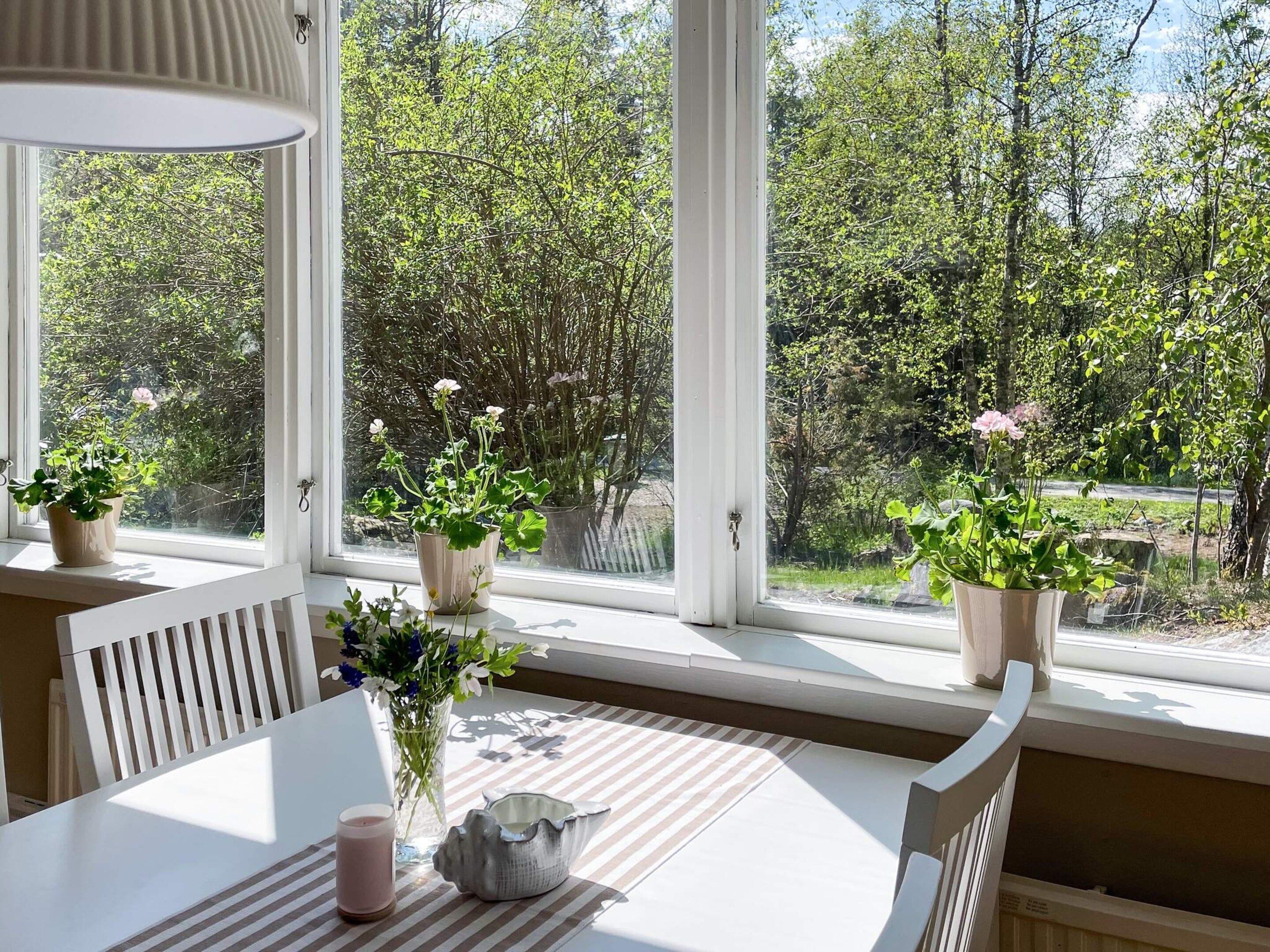 A room with a large window, a table with chairs, and potted plants.