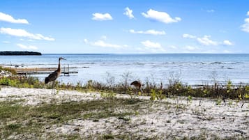 Perto da praia, prática de vela, passeios de caiaque, prática de pesca