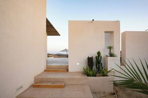 Un design architectural moderne, avec un chemin en béton menant à une porte, le tout entouré de cactus et de plantes.