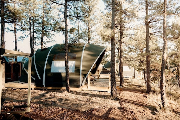 A modern, dome-shaped tent-like structure in a forested area.