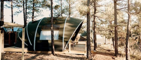A modern, dome-shaped tent-like structure in a forested area.