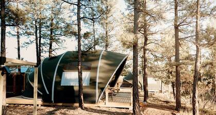 Scenic Mountain Glamping Tent with Orchard & Farm Animals near Quarai Ruins in Torreon, New Mexico