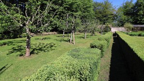 Ein angelegter Garten mit Bäumen, einer Hecke und einer Ziegelmauer.
