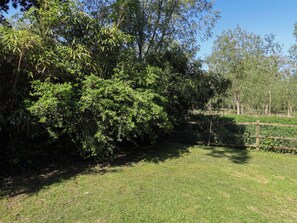 Une zone herbeuse, avec un feuillage dense et une clôture en bois.
