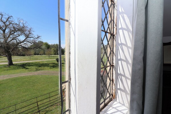 Blick durch ein Fenster mit einem Metallgitter auf ein grasbewachsenes Feld und einen kahl stehenden Baum.