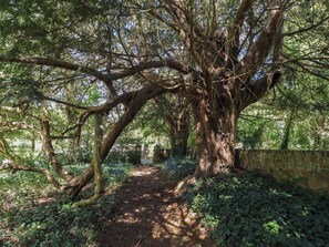 Un sentier bordé d’arbres, avec un mur de briques d’un c ôté.