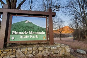 A sign for Pinnacle Mountain State Park with a mountain illustration and a stone wall in the foreground.