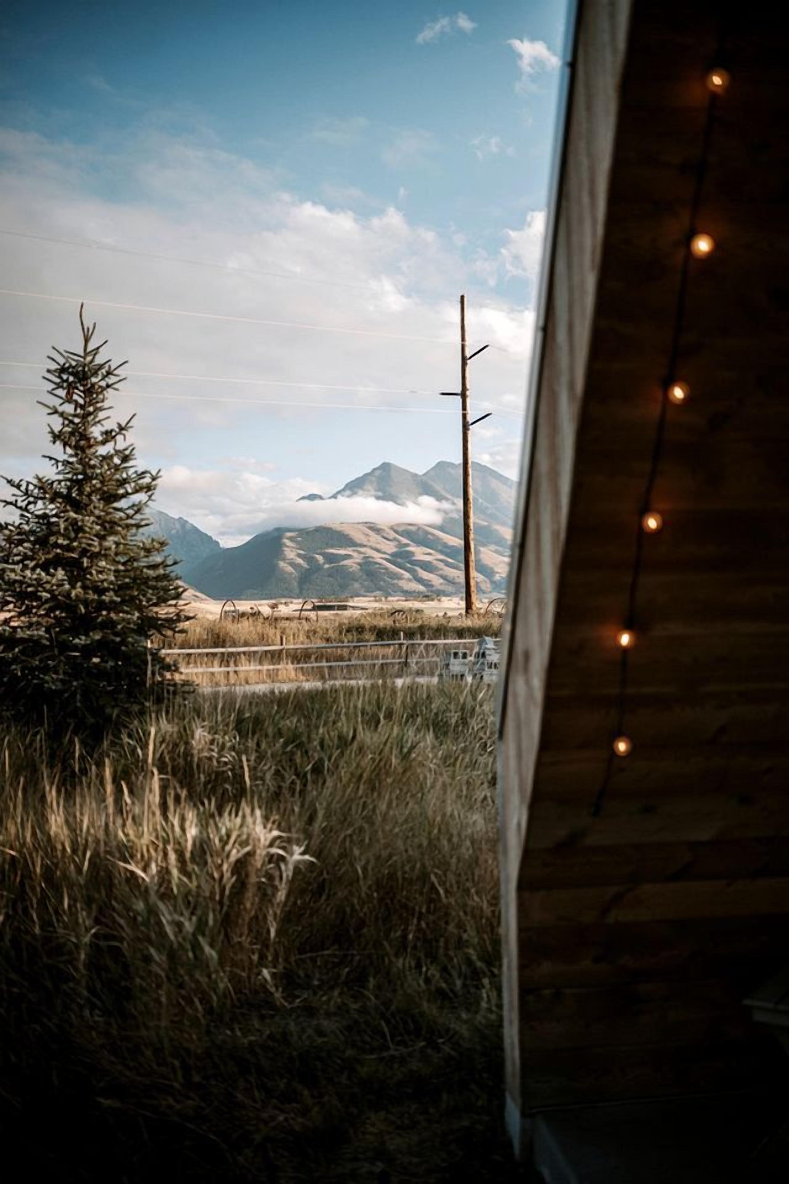 Vista desde el interior de una cabaña de madera, con un pino y un paisaje montañoso.