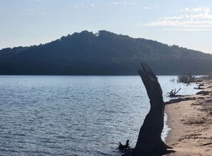 A beach with a prominent tree trunk in the foreground and a mountain in the background. - Charming Tiny Home Retreat Near Forest Trails & River Access in Calico Rock, Arkansas (Calico Rock)