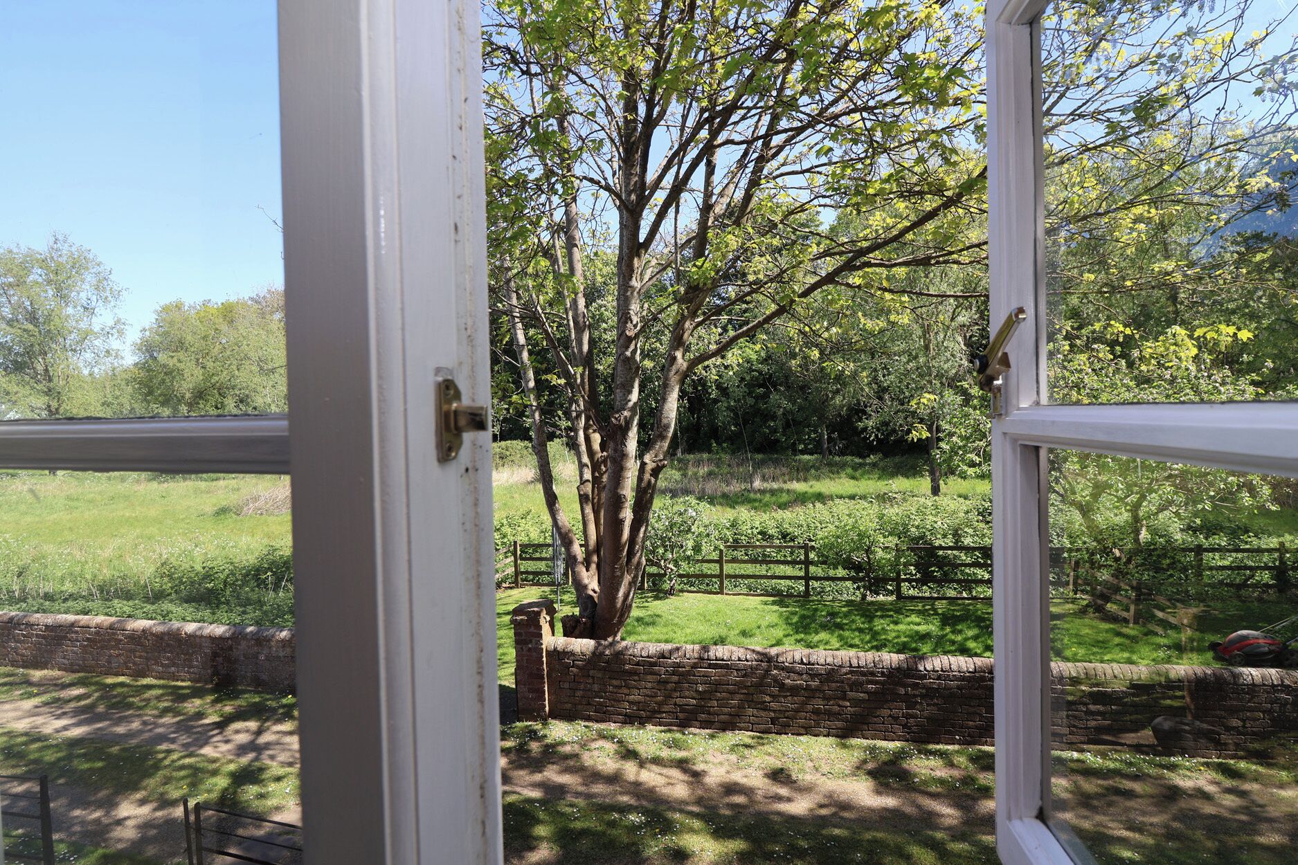 A view through a window with a white frame, a brick wall, and a tree in the background.