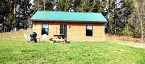 Eine kleine Holzhütte mit einem grünen Dach, einem Picknicktisch und zwei Fenstern.