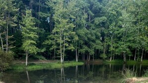 A circular brick structure in a natural setting with a body of water and trees in the background. - Unforgettable Sasquatch Ranch Retreat with Goats & Beach Area near Littleton, NC (Littleton)