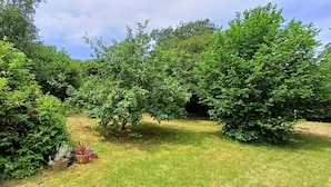 Ein Garten mit verschiedenen Bäumen und Sträuchern, einer Rasenfläche und einem Weg.