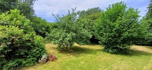 Ein Garten mit verschiedenen Bäumen und Sträuchern, einer Rasenfläche und einem Weg.