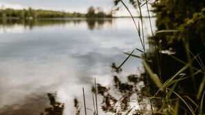 Ein ruhiger See mit Spiegelungen von B äumen und einem klaren Himmel.