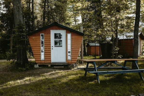 Une petite cabane en bois avec une porte blanche, entourée d’arbres.