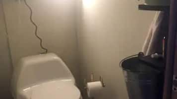 Towels, soap, shampoo, toilet paper