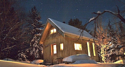 Cozy Cabin on 10 acres!