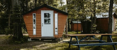 A small wooden cabin with a white door, surrounded by trees.