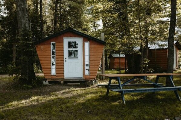 A small wooden cabin with a white door, surrounded by trees.
