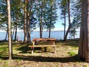 Une table de pique-nique située dans une zone boisée, avec un lac en arrière-plan.