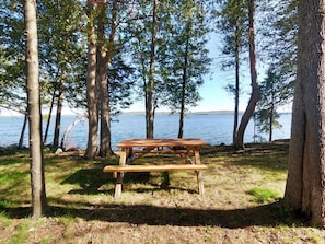 A picnic table in a wooded area with a lake in the background. - Golden Lake Glamping Cabin for an Outdoor Adventure in Killaloe, Ontario (Killaloe)