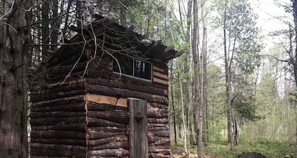 Rural Cabin Surrounded by Beautiful Nature in Ontario