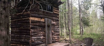 Rural Cabin Surrounded by Beautiful Nature in Ontario