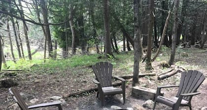 Rural Cabin Surrounded by Beautiful Nature in Ontario