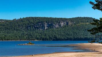 A beach with a forested mountain in the background.