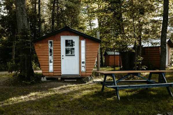 A small wooden cabin with a white door, surrounded by trees.