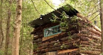 Quaint Off-Grid Cabin with Fire Pit Space in Ontario