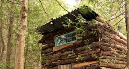 Quaint Off-Grid Cabin with Fire Pit Space in Ontario